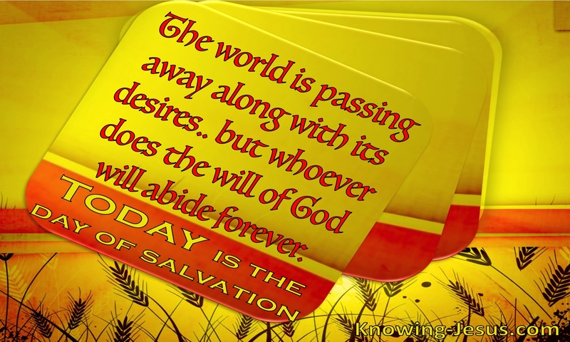 1 John 2:17 Today is the Day (devotional)03:17 (yellow)